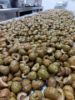 Olive ammaccate a pietra 290gr