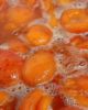 Mi chiamo Albicocca - La Marmellata